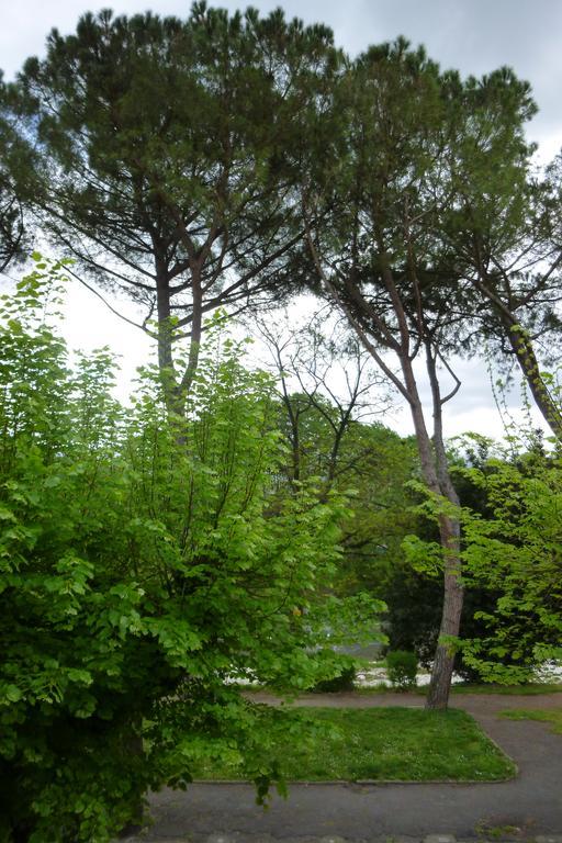 Albergo I Villini Pontassieve Εξωτερικό φωτογραφία